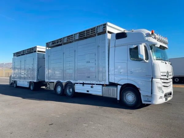 MERCEDES ACTROS 2563 + PEZZAIOLI - 3 étages - 2 compartiments - 2016 – Image 2