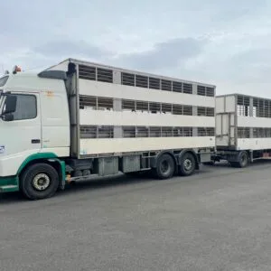 VOLVO FH12 460 + SAMRO - 2 étages PIOGER - 2006