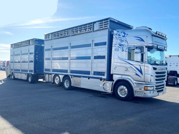 SCANIA R560 + PEZZAIOLI - 3 étages - 2013 – Image 3