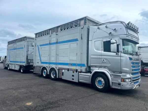 SCANIA R580 + PEZZAIOLI - 3 étages - 2 compartiments - 2015 – Image 2