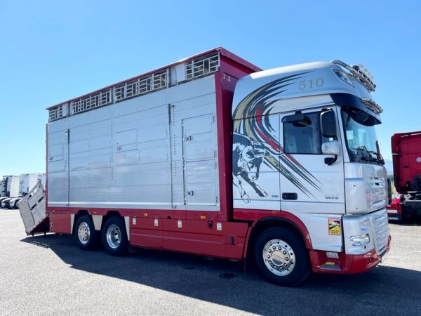 DAF 105XF510 - 3 étages PEZZAIOLI - 2013 – Image 2