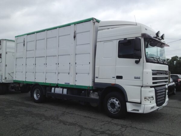 DAF - 105XF410 - 3 étages MENKE JANZEN - 2008 – Image 2