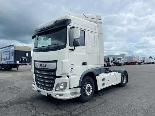 DAF - XF480 - 2019