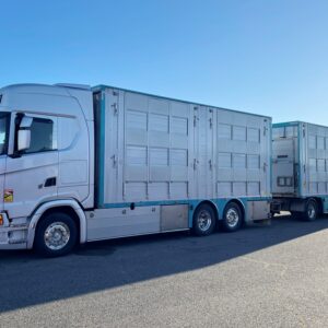 SCANIA S540 + PEZZAIOLI - 3 étages 2 compartiments - 2022