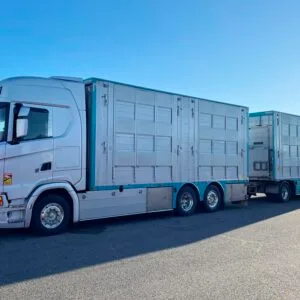 SCANIA S540 + PEZZAIOLI - 3 étages 2 compartiments - 2022
