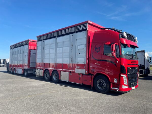 VOLVO FH540 + PEZZAIOLI - 3 étages indépendants - 2021 – Image 2