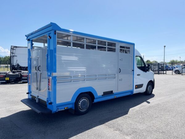 RENAULT MASTER DCI 135CH - 2023 - Caisse bétaillère Alu Neuve – Image 3