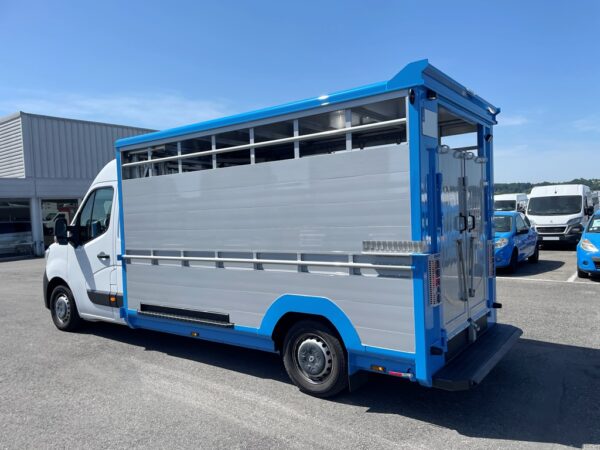 RENAULT MASTER DCI 135CH - 2023 - Caisse bétaillère Alu Neuve – Image 4