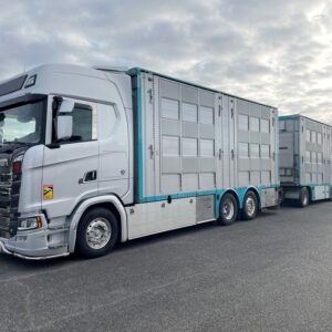 SCANIA S590 + PEZZAIOLI - 3 étages 2 compartiments - 2022