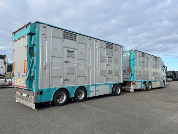 SCANIA S590 + PEZZAIOLI - 3 étages 2 compartiments - 2022 - Imagen 3