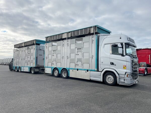 SCANIA S590 + PEZZAIOLI - 3 étages 2 compartiments - 2022 - Imagen 2