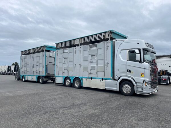 SCANIA S590 + PEZZAIOLI - 3 étages 2 compartiments - 2022 - Image 2