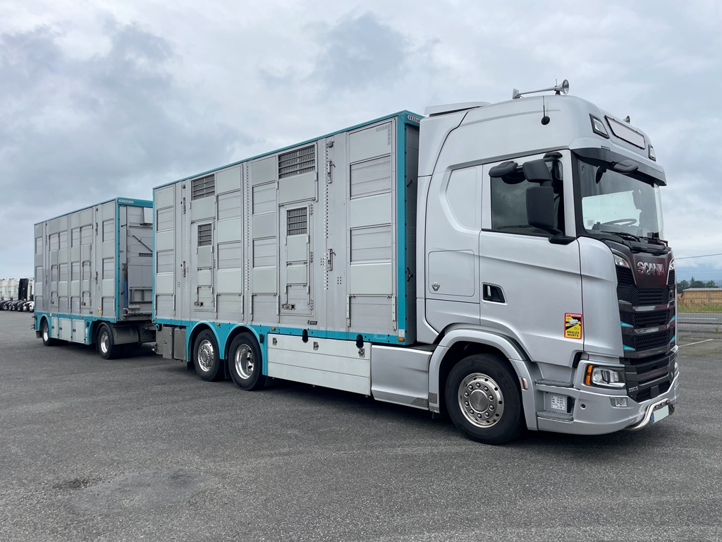 SCANIA S590 - bétaillère 3 étages indépendants PEZZAIOLI - 2022 - Image 3