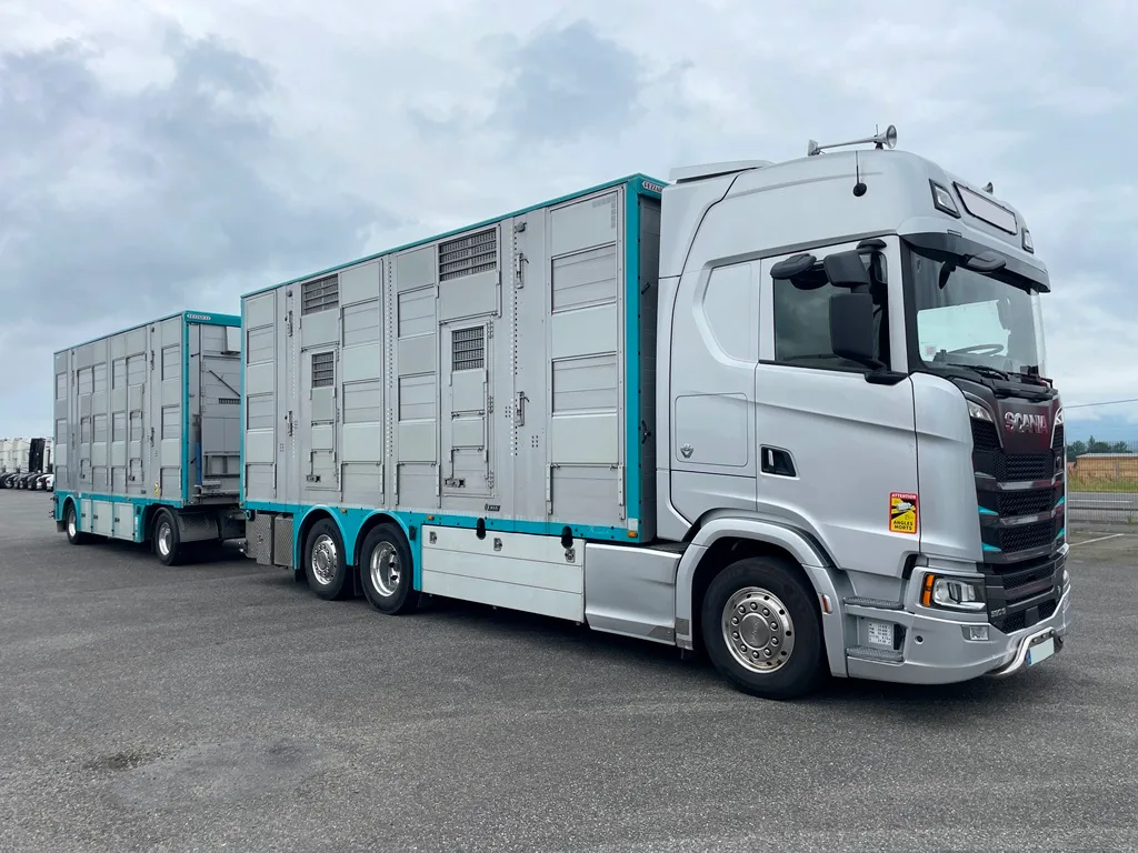 SCANIA S590 - bétaillère 3 étages indépendants PEZZAIOLI - 2022 – Image 2