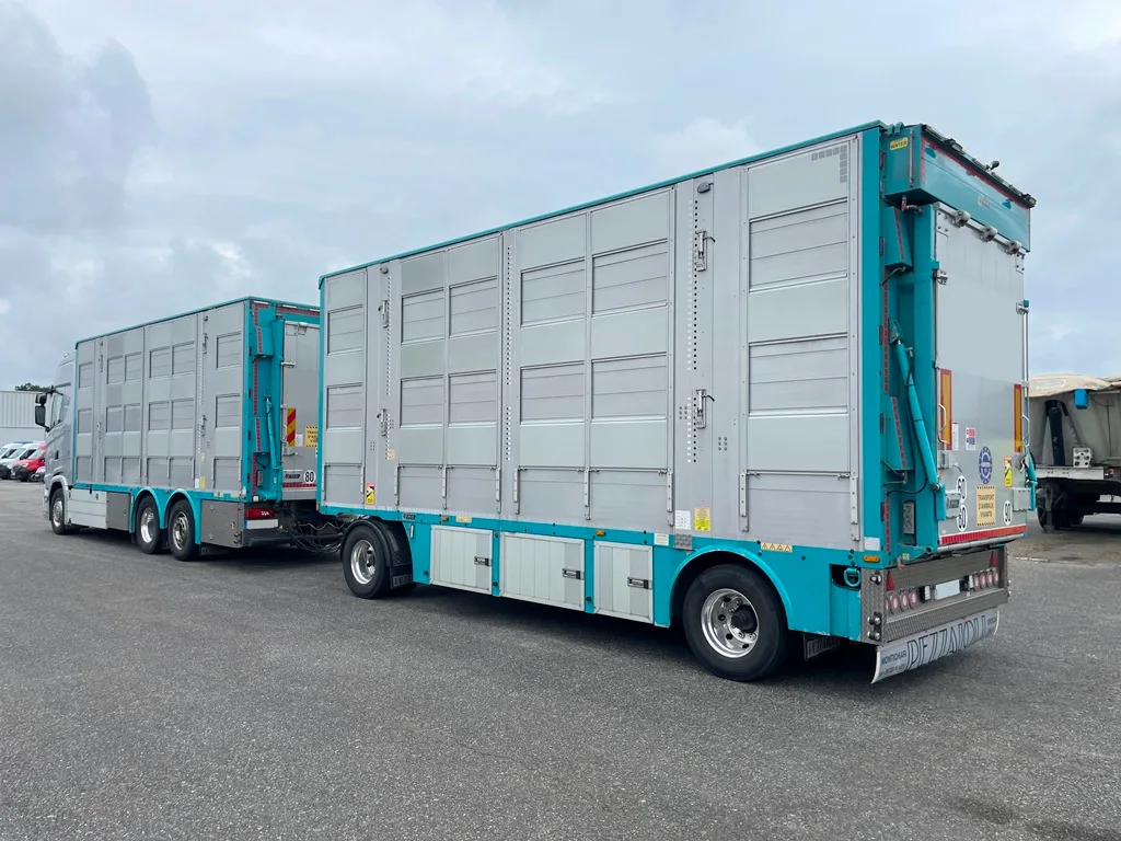 SCANIA S590 - bétaillère 3 étages indépendants PEZZAIOLI - 2022 – Image 4