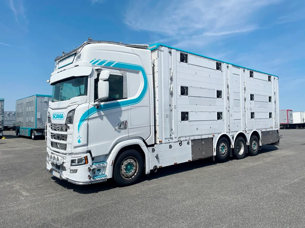 SCANIA S500 - 8x2 - Bétaillère PEZZAIOLI - 3 étages indépendants - 2 compartiments - 2022