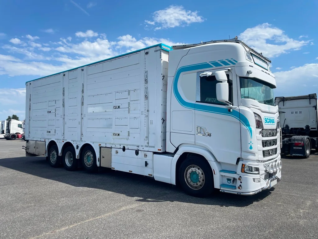SCANIA S500 - 8x2 - Bétaillère PEZZAIOLI - 3 étages indépendants - 2 compartiments - 2022 – Image 3