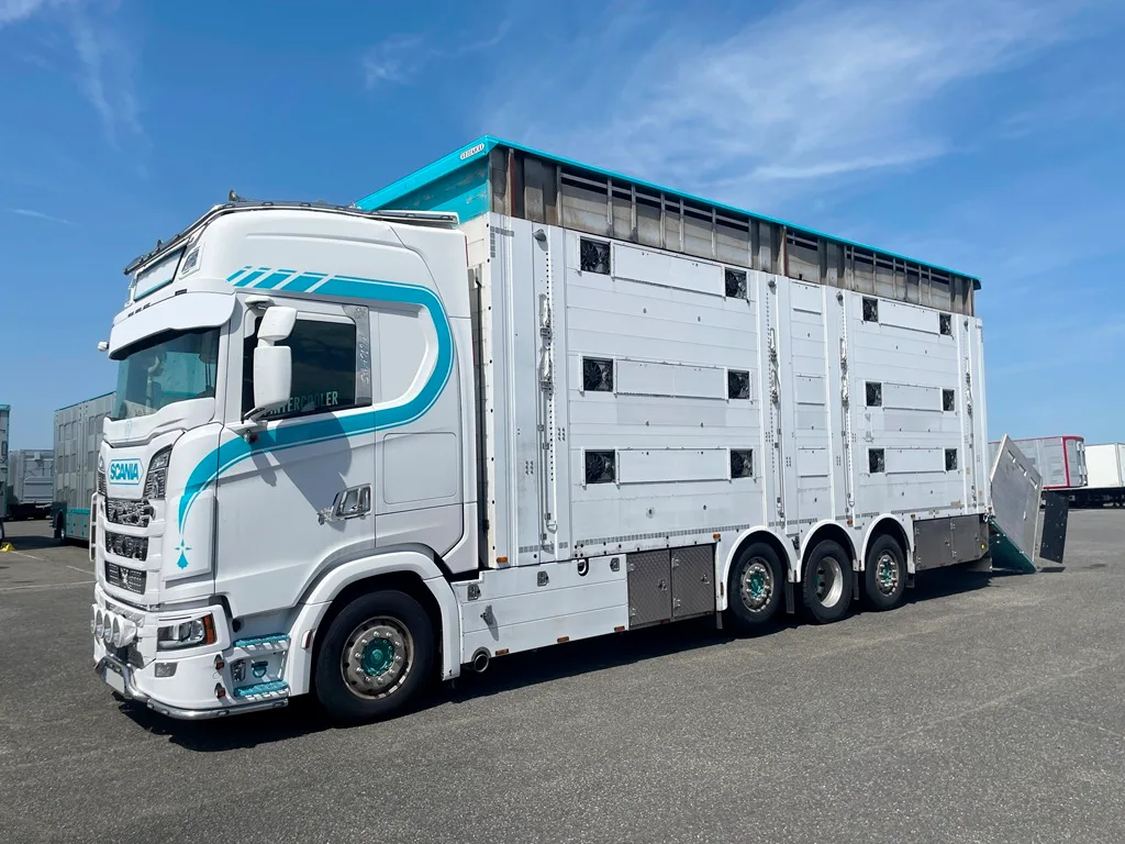 SCANIA S500 - 8x2 - Bétaillère PEZZAIOLI - 3 étages indépendants - 2 compartiments - 2022 – Image 6