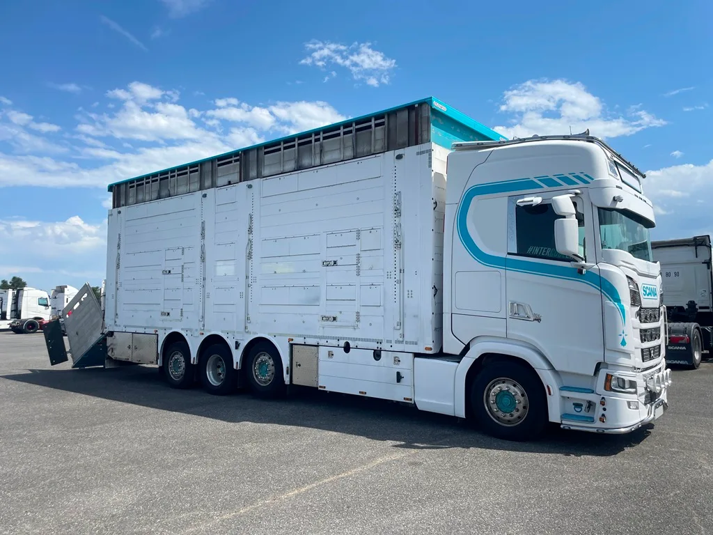 SCANIA S500 - 8x2 - Bétaillère PEZZAIOLI - 3 étages indépendants - 2 compartiments - 2022 – Image 7