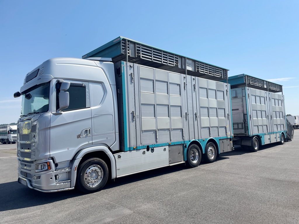 SCANIA S540 + PEZZAIOLI - 3 étages - 2 compartiments - 2022 – Image 5