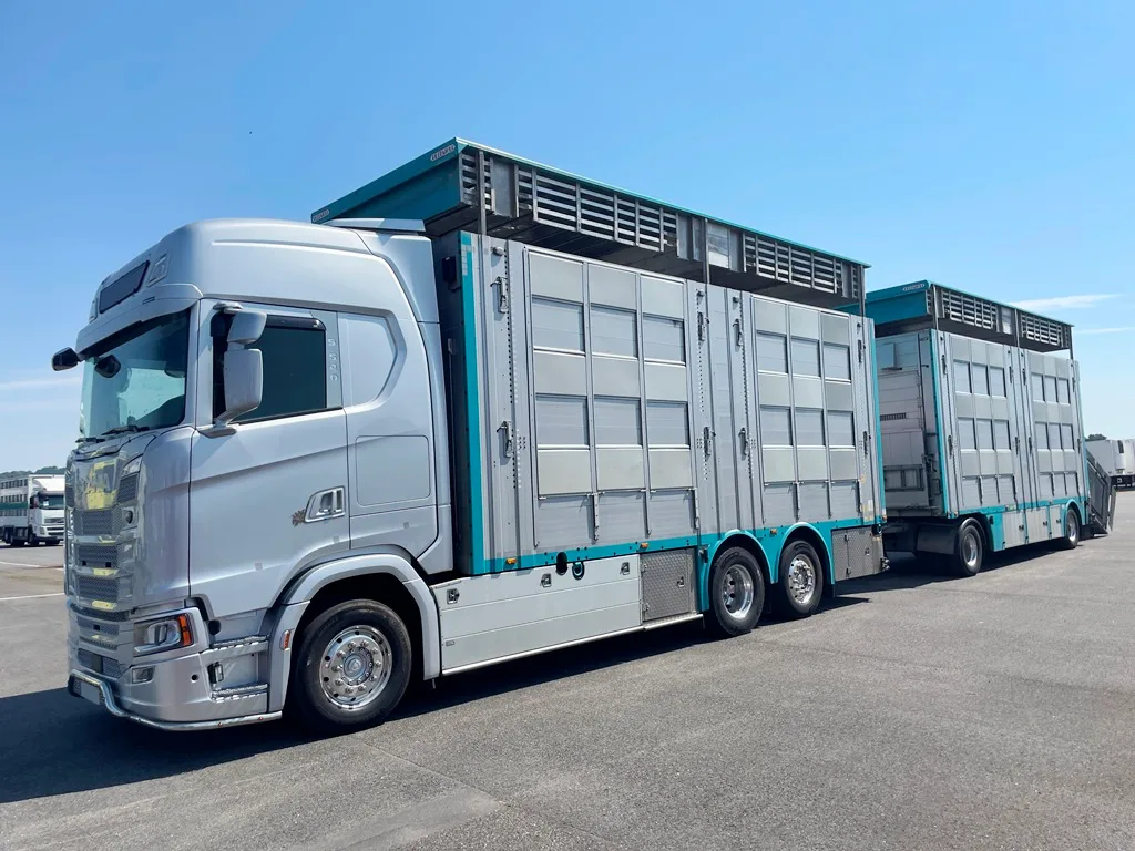 SCANIA S540 + PEZZAIOLI - 3 étages - 2 compartiments - 2022 – Image 5
