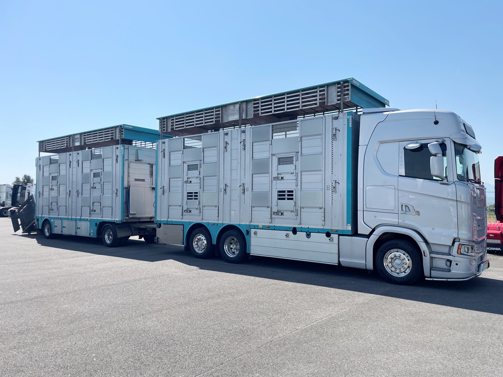 SCANIA S540 + PEZZAIOLI - 3 étages - 2 compartiments - 2022 – Image 6