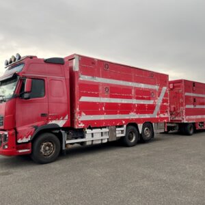 VOLVO FH600 + PEZZAIOLI - 2 étages - 2012