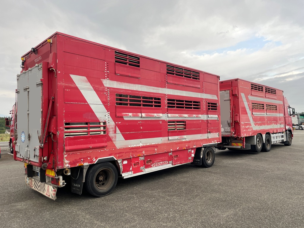 VOLVO FH600 + PEZZAIOLI - 2 étages - 2012 – Image 3