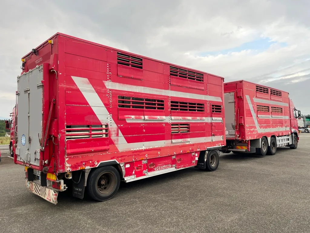 VOLVO FH600 + PEZZAIOLI - 2 étages - 2012 – Image 3