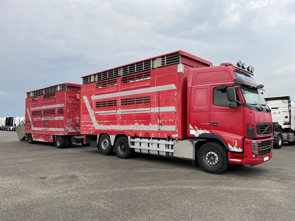 VOLVO FH600 + PEZZAIOLI - 2 étages - 2012 – Image 2