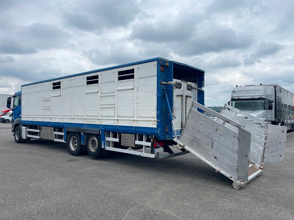 MAN TGS 26.360 - Bétaillère HARMAND - 2009 – Image 9