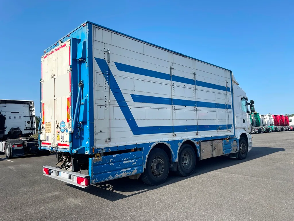 SCANIA R500 - 3 étages - 2 compartiments - PEZZAIOLI - 2012 – Image 4
