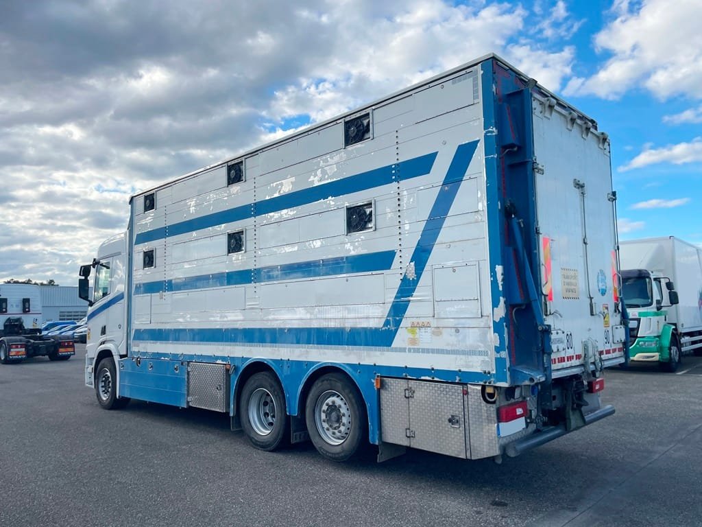 SCANIA R580 - 2 étages PEZZAIOLI - 2017 – Image 6