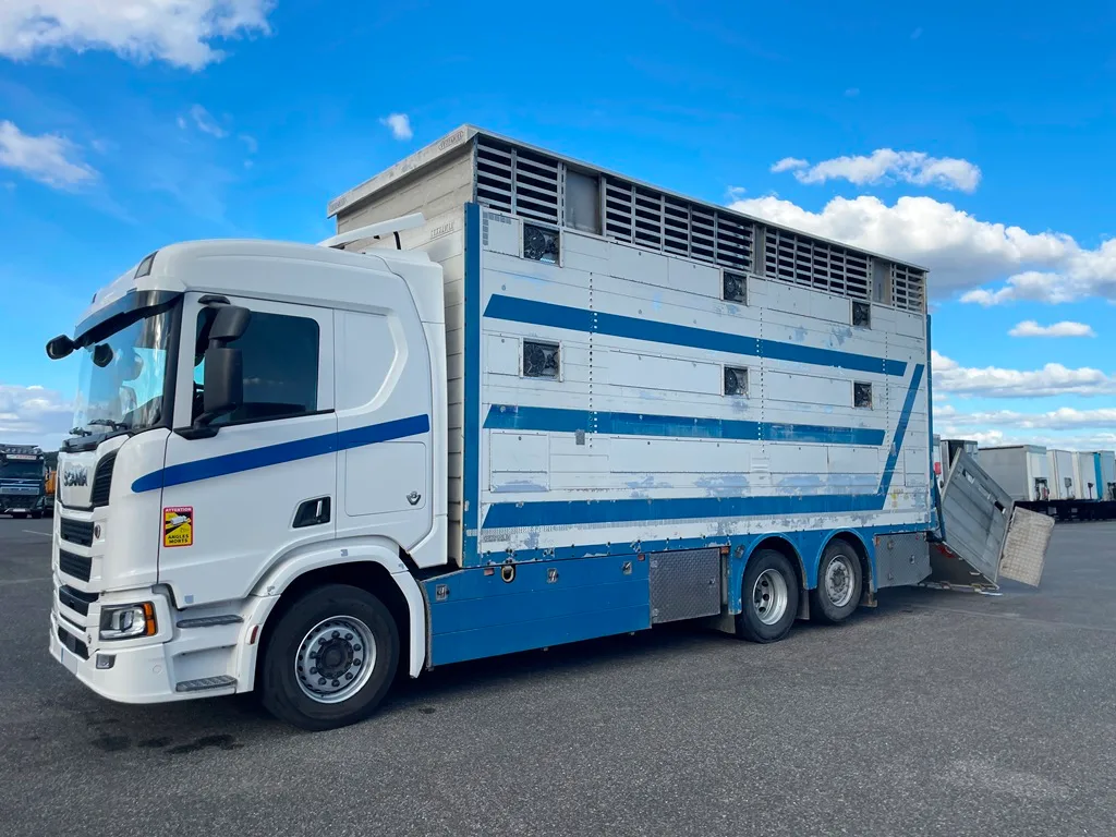 SCANIA R580 - 2 étages PEZZAIOLI - 2017 - Imagen 7