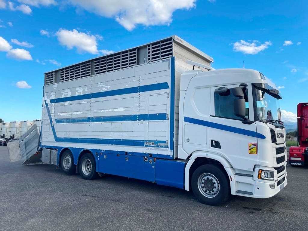 SCANIA R580 - 2 étages PEZZAIOLI - 2017 – Image 8